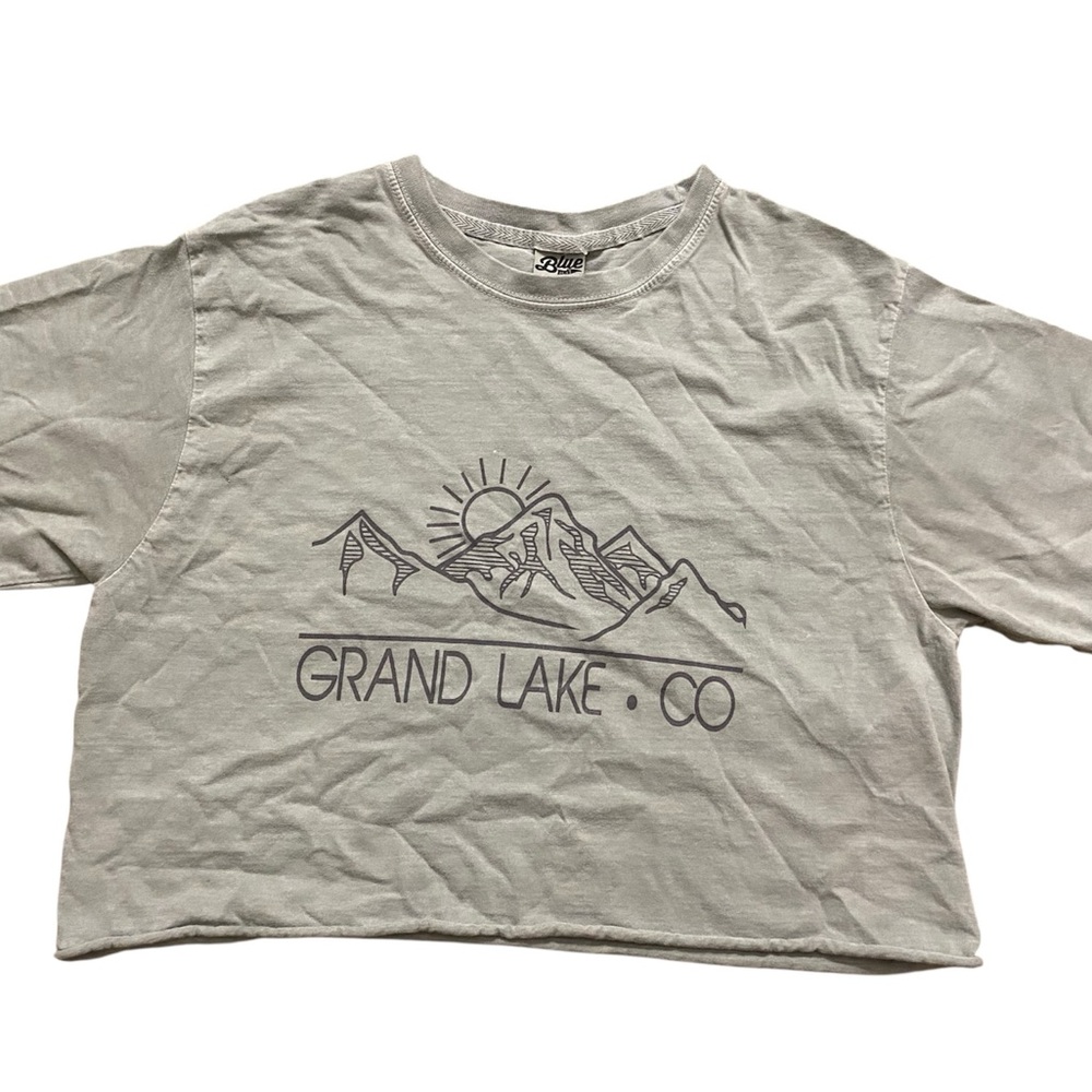 Gray Jersey Top with Graphic Design